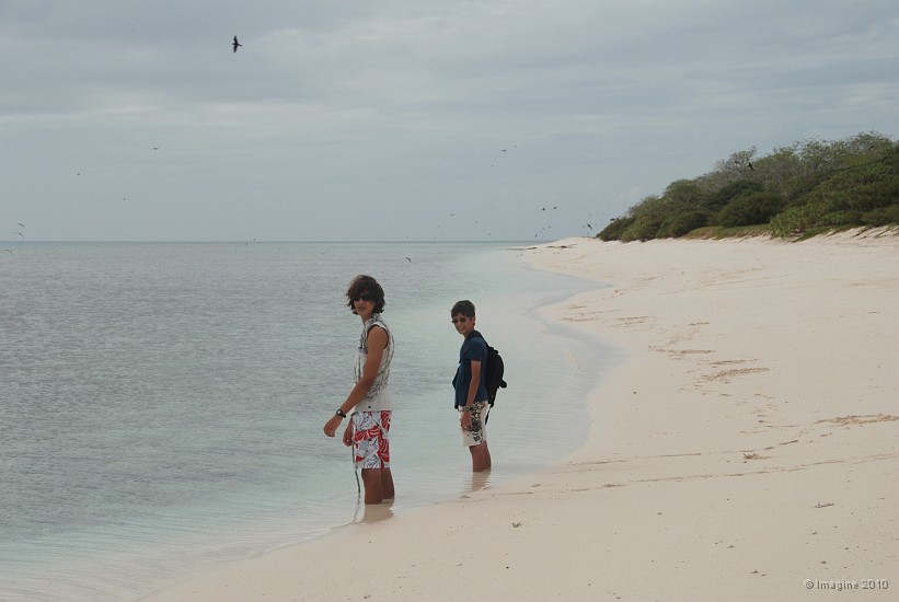 46- Romain et Bastien plantes dans la plage.JPG